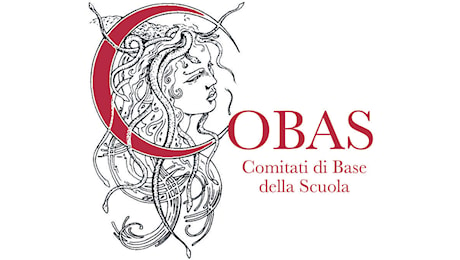 Dal precariato alla precarietà: i COBAS denunciano l’odissea economica dei/delle neo-docenti