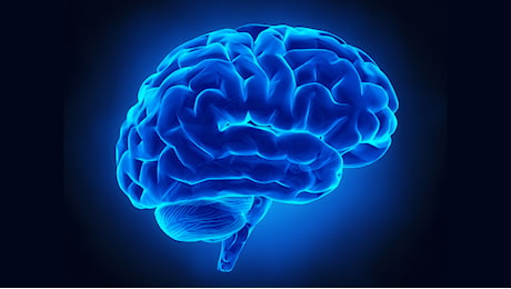 Giornata mondiale del cervello, oggi si celebra il World Brain Day: l’importanza della prevenzione