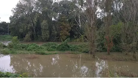 Melegnano: il Lambro sommerge le campagna dietro il cimitero