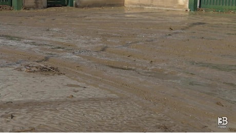 Cronaca meteo diretta - Ancona, mezzi al lavoro per rimuovere il fango dopo gli allagamenti - Video