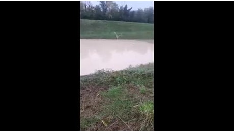 Bologna, il video dopo l'alluvione del sottopasso dell'ospedale Maggiore