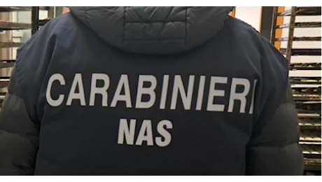 Cassino, Controlli dei Nas, attività ricettiva sospesa