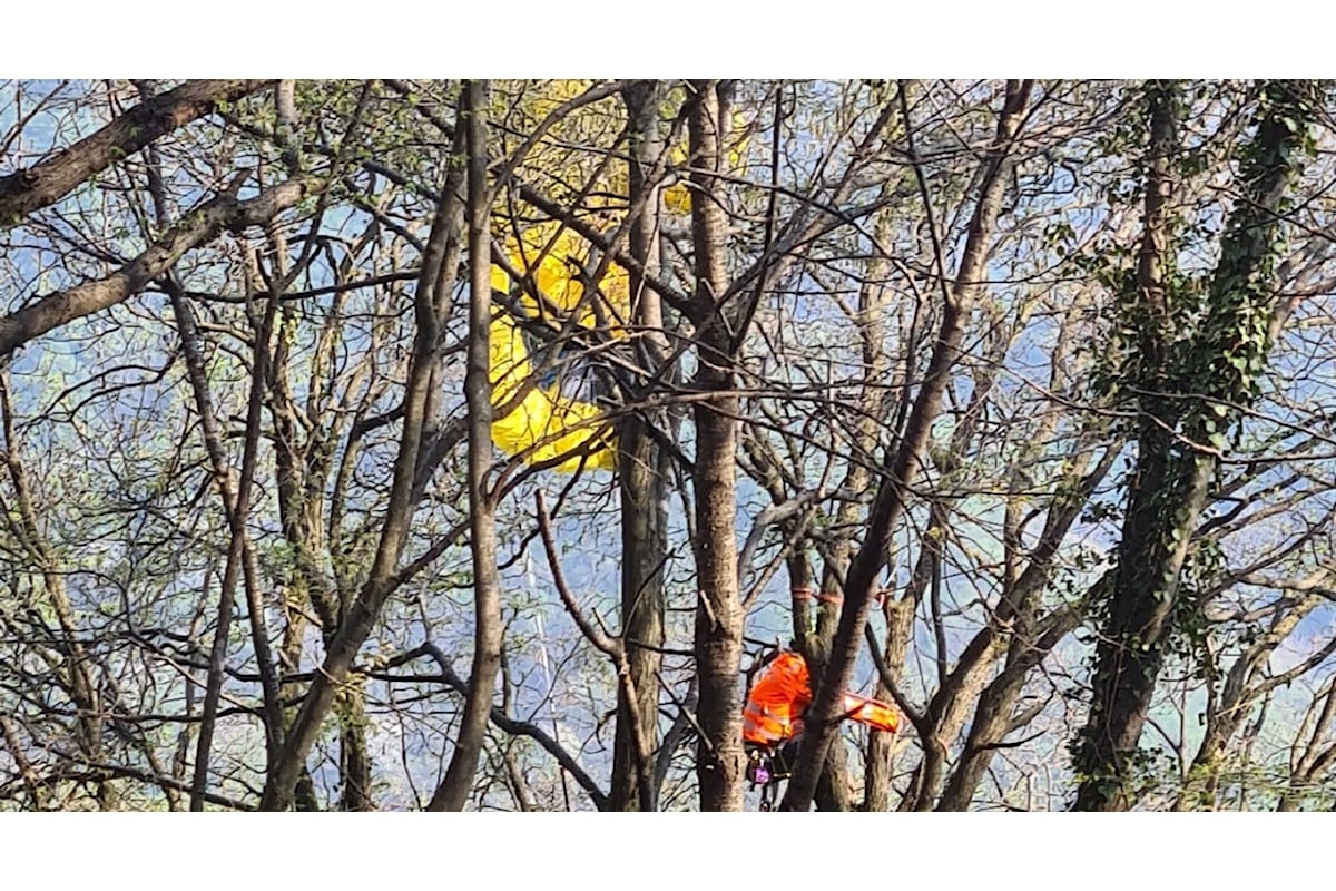 Parapendio si incastra sulla cima di un albero: donna soccorsa dai vigili del fuoco, miracolosamente incolume