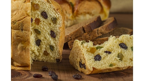 A Natale panettone gourmet o industriale? Bilanciare tradizione, qualità e salute