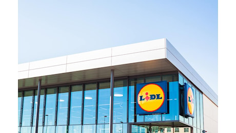 Trasforma il tuo spazio con le piante Lidl: ecco le offerte imperdibili del weekend