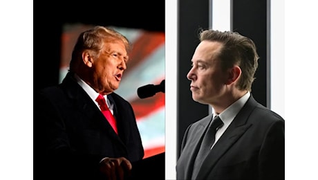 Elon Musk, il Grande Fratello (di Trump)