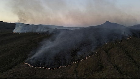 Parlamento Ue: rinviata la legge sulla deforestazione