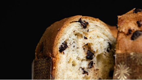 Il panettone di Natale perfetto? Quello artigianale. Al cioccolato, al pistacchio o classico, i migliori