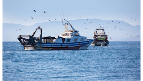 Bene introduzione misure sociali ed economiche a sostegno dei pescatori