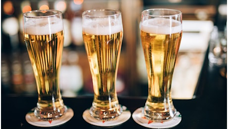 Birra italiana a rischio: l’allarme lanciato sui raccolti di orzo