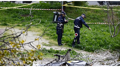 Francesca Ianni morta schiacciata da un albero, il giallo dei controlli. «La pianta non era a rischio»