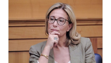 Identificato l'agente con la felpa neonazista alla manifestazione pro Palestina a Milano Identificato l'agente con la felpa neonazista alla manifestazione pro Palestina a Milano