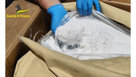 Varesotto, sequestrati 6.337kg di precursori di droga sintetica. Due arresti in Olanda