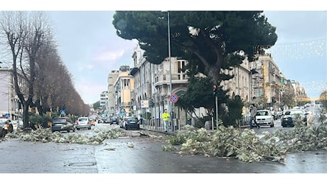 Messina e provincia nella bufera: strade chiuse, pali crollati e rami spezzati dal vento. Chiuse ville e cimiteri FOTO