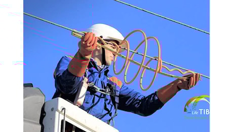 Enel, utile tre mesi a 2 miliardi, confermate le stime