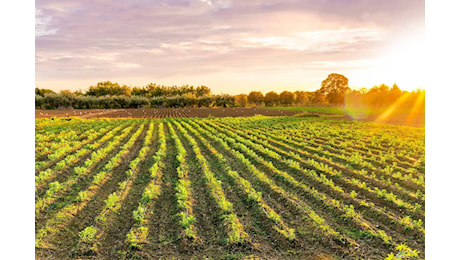 G7 Agricoltura: i ministri firmano cinque punti chiave per un futuro sostenibile