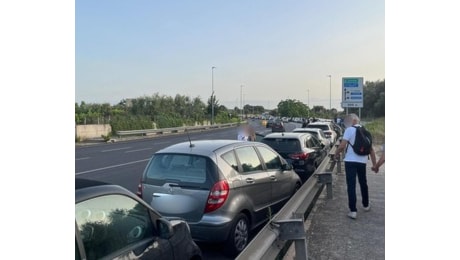 Vasco a Bari, parcheggi esauriti e i vigili fanno sostare le auto per strada (in divieto). Polemiche anche sui bus