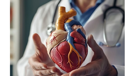 ISS: 80% decessi legati a malattie cardiovascolari è evitabile