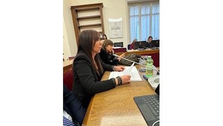 IMMA VIETRI (FDI): “DL BOLLETTE, DA GOVERNO AIUTO CONCRETO PER FAMIGLIE ED IMPRESE”