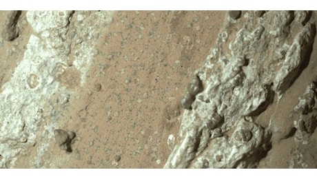 Il rover Perseverance potrebbe aver trovato in una roccia indizi di vita microbica su Marte
