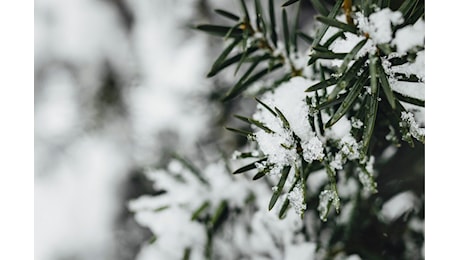 Gelo, neve e maltempo: arrivano le tempeste polari, previsioni meteo