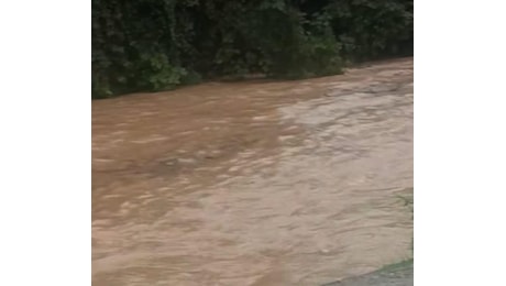 Maltempo Monza: il Lambro esonda nel Parco delle Grazie, strade allagate