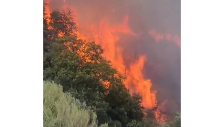 Domenica di fuoco con ventitré incendi in Sicilia: in azione forestali e pompieri