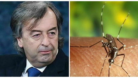 Malaria in Veneto, Burioni: «Se confermato è un guaio che neanche vi immaginate». L'Ulss: caso non autoctono, il paziente rientrato dall'Africa