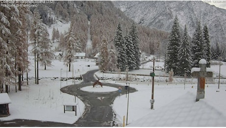 PRIMA NEVE SUL CANAVESE - Imbiancate le montagne, fiocchi di neve sulle case di Ceresole, Noasca e Piamprato Soana - FOTO