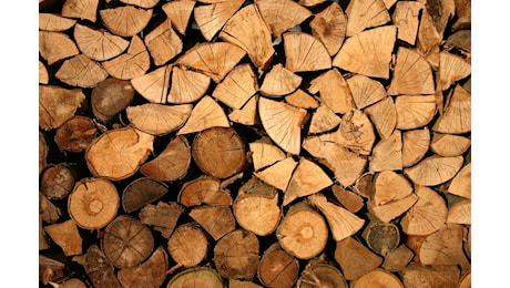 FederlegnoArredo: “La qualità del legno rende le abitazioni più confortevoli e sostenibili”