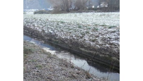 Il maltempo mette in difficolt l'agricoltura lariana: pioggia anche nei prossimi giorni