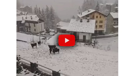 Neve in Valle d'Aosta, paesaggio imbiancato a Champorcher, temperature sottozero; il Video