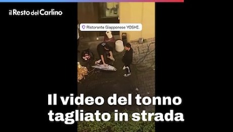 Il video del tonno tagliato in strada