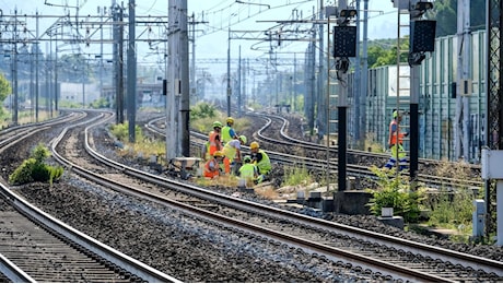 Daino investito, ancora disagi e ritardi per i treni dell’Alta velocità tra Bologna e Roma