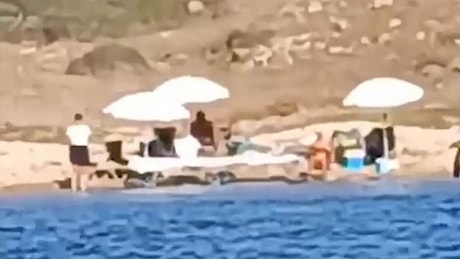 Turisti organizzano picnic in zona protetta in Sardegna: il video