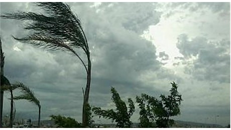 Sulle Marche tira vento di tempesta: raffiche fino a 100km per una domenica prenatalizia. Ecco le previsioni