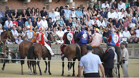 Palio di Siena, Carriera annullata e rimandata di un giorno: è la prima volta con i cavalli già ai canapi