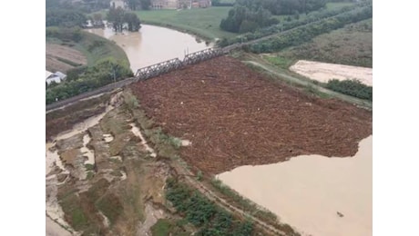 Alluvione in Romagna, “troppa legna tagliata nei fiumi”: l’allarme inascoltato di giugno ora diventa un caso: