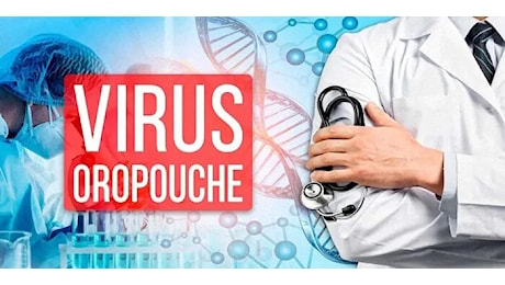 Virus Oropouche, al Sacco i primi test: già diagnosticati 2 casi