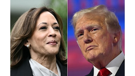 Trump e Harris, tra un mese il voto Usa: ecco dove si vincono le elezioni