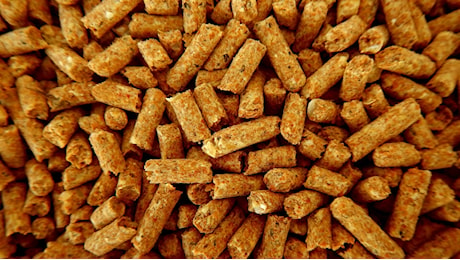 Pellet, con l’arrivo del freddo tornano le offerte truffa sul web: come riconoscerle