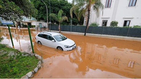 Maltempo a Palermo, allagamenti e alberi caduti nei quartieri della città