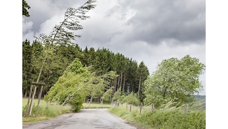 Allerta vento e per temporali in Emilia-Romagna