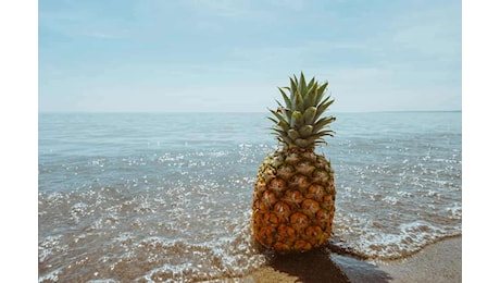 Scopri la Sorprendente Quantità di Ananas che Puoi Gustare Ogni Giorno se Hai la Glicemia Alta! Non Crederai ai Tuoi Occhi!