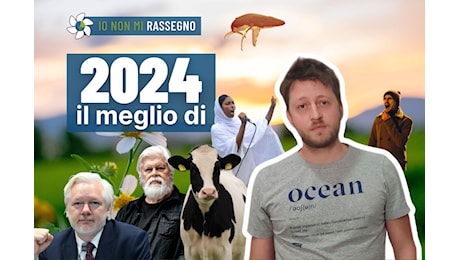 Anche il 2024 ha fatto cose buone! Le notizie più incredibili dell’anno trascorso – #1035