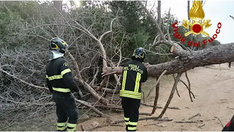 Tempesta di vento in Sardegna: tetti sradicati e crolli di alberi e pontili