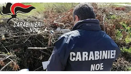 Anagni. I Carabinieri del Noe sequestrano un impianto di trattamento rifiuti e ne denunciano l’amministratore unico