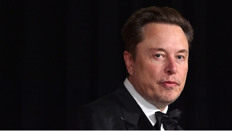 Elon Musk e il capo dell'estrema destra tedesca in chat su X