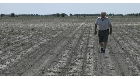 Giornata dell’alimentazione (e delle sue contraddizioni): la Fao punta a rendere inclusivo il sistema, l’Ue continua a rimandare