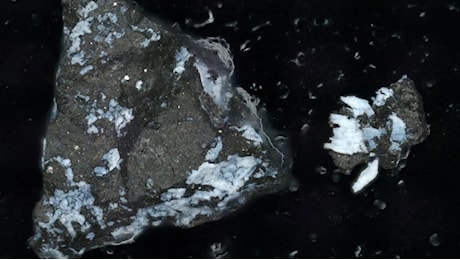 La NASA scopre gli ingredienti della vita sull’asteroide Bennu!